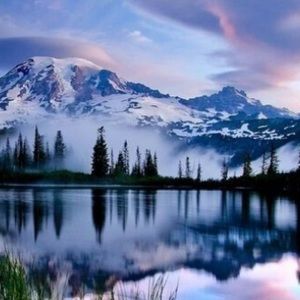 Meet your Posher, Delaney